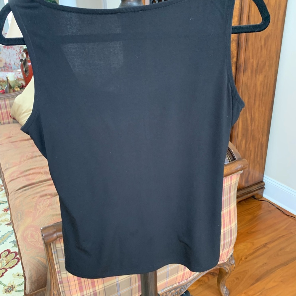 Stunning Cache Top - image 2